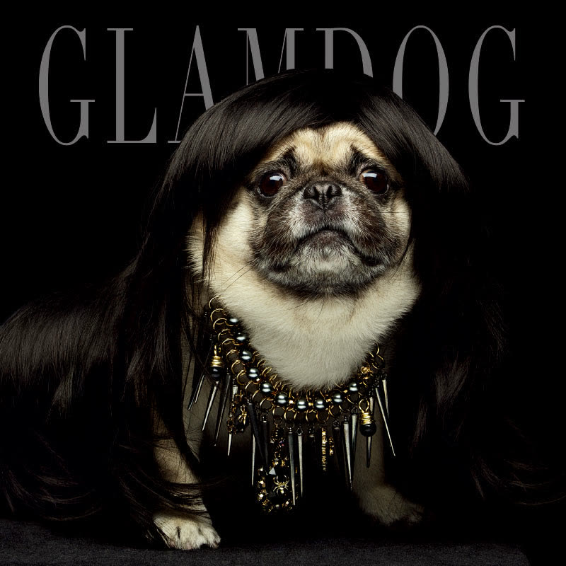 GLAMDOG