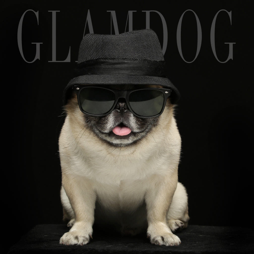 GLAMDOG