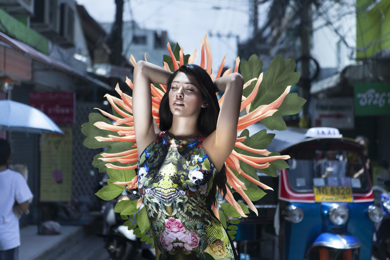 Tropical Blooming